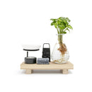 Happiness In A Box - Intenz Wellness - Ø10cm - ↕15cm - Mijnplantenshop.nl
