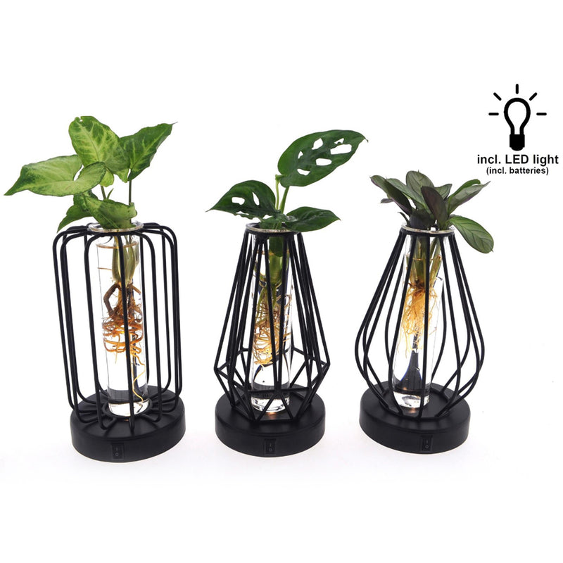 MijnPlantenShop-MixinTurijnGlas_Led