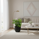 Luchtzuiverend Monstera Monkey Leaf