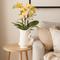 MijnPlantenShop_-_Kolibri_Orchids_met_Fish_sierpot2
