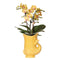 MijnPlantenShop - Kolibri Orchids met Fish sierpot