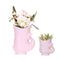 MijnPlantenShop - Set van witte orchidee Nazaré