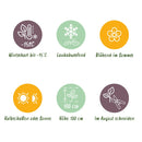 MijnPlantenShop_-_Tuin_Hortensia_Hydrangea_macrophylla_Ruby5