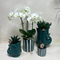 Set van witte orchidee Amabilis2